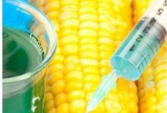 genetically modified organisms explained