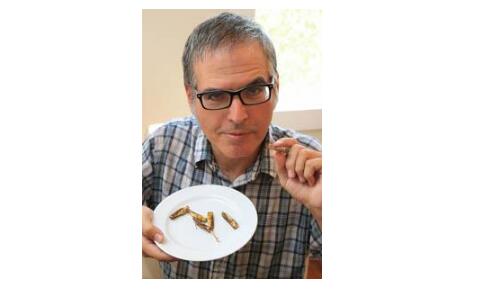 Eating insects made simple