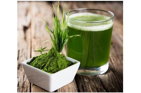 Spirulina: the miracle food